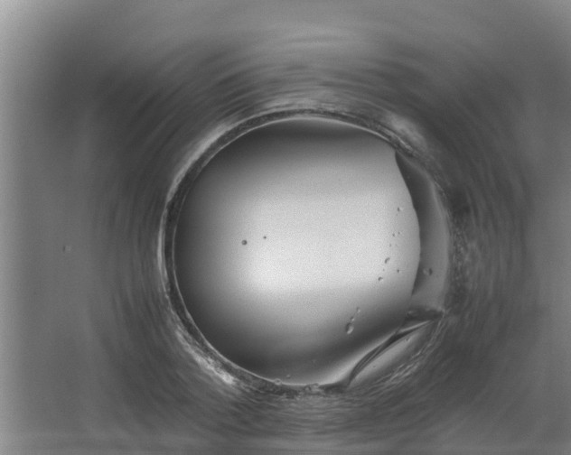 X0000064040788200602031556