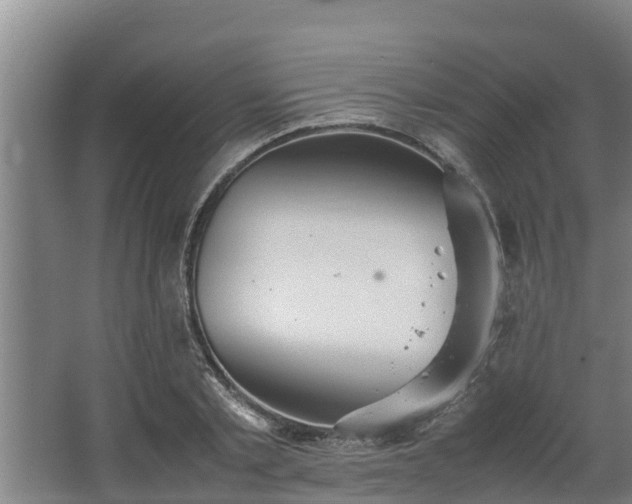 X0000064040789200602031556