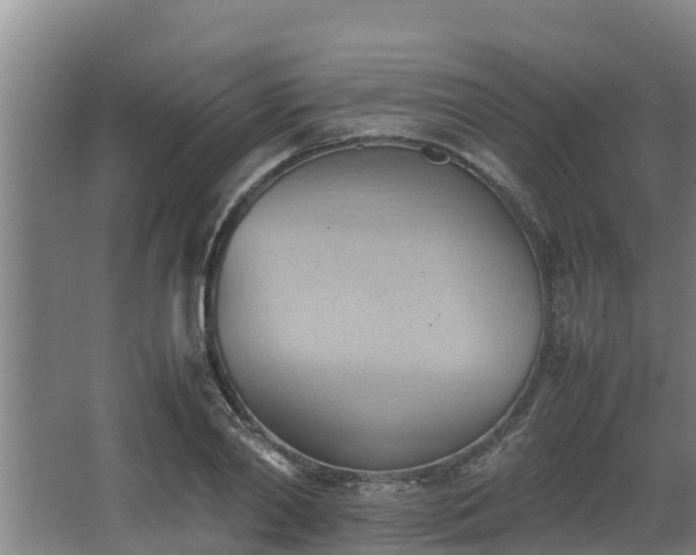 X0000064040790200602031556