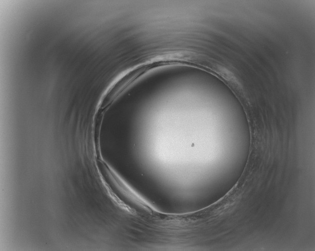 X0000064040792200602031556