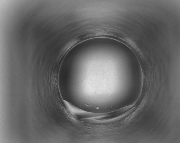 X0000064040793200602031556