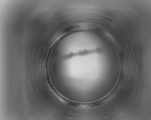 X0000064040794200602031556