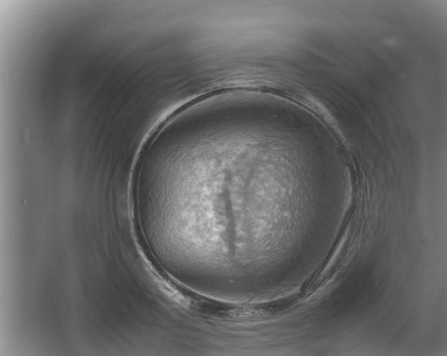 X0000064040795200602031556