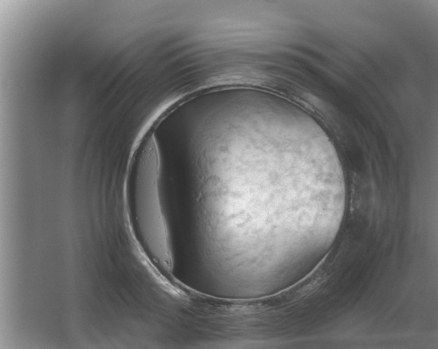 X0000064040796200602031556