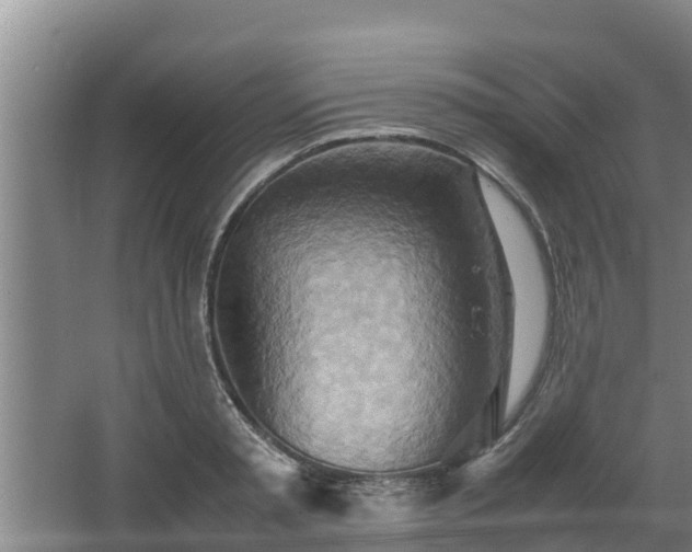 X0000064040797200602031556