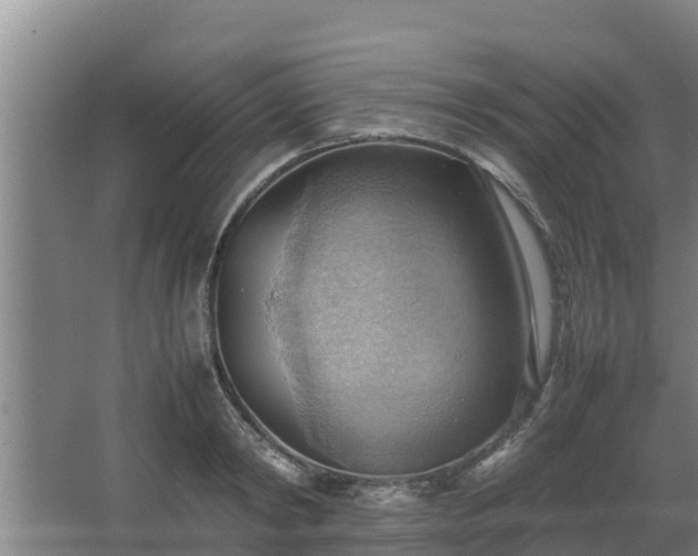 X0000064040798200602031556