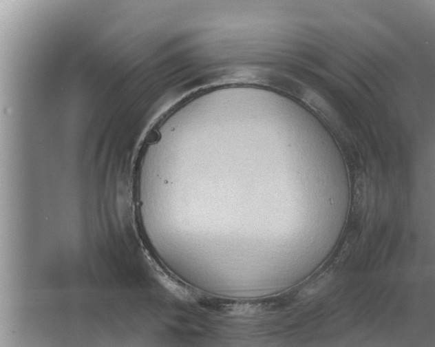 X0000064040800200602031556