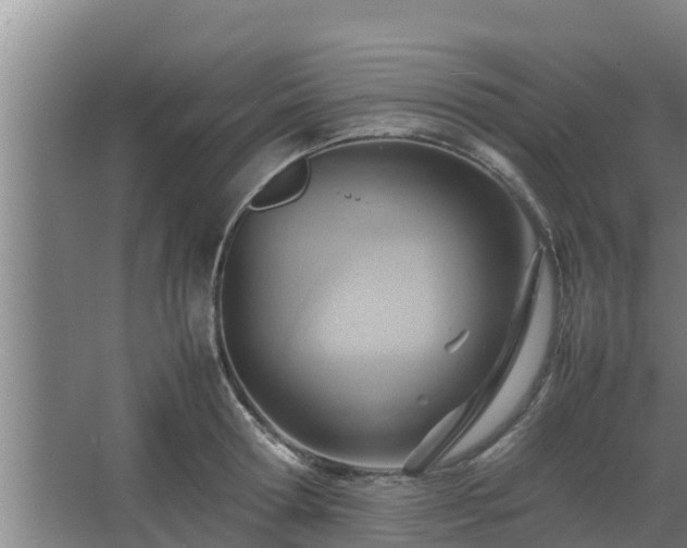 X0000064040802200602031556