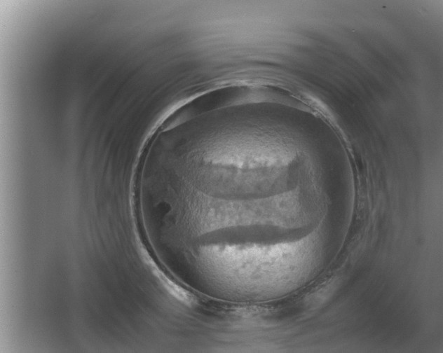 X0000064040803200602031556