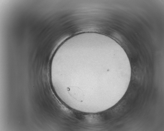 X0000064040804200602031556