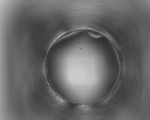 X0000064040806200602031556