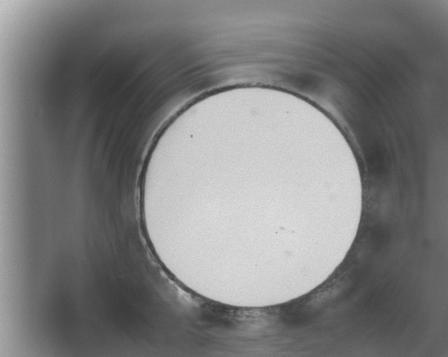 X0000064040807200602031556