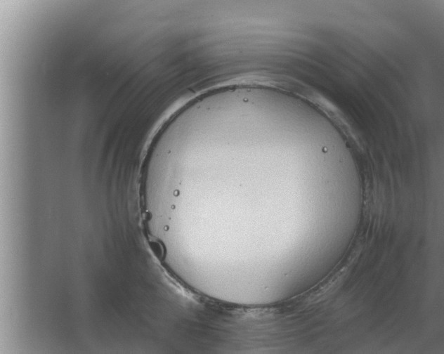 X0000064040808200602031556