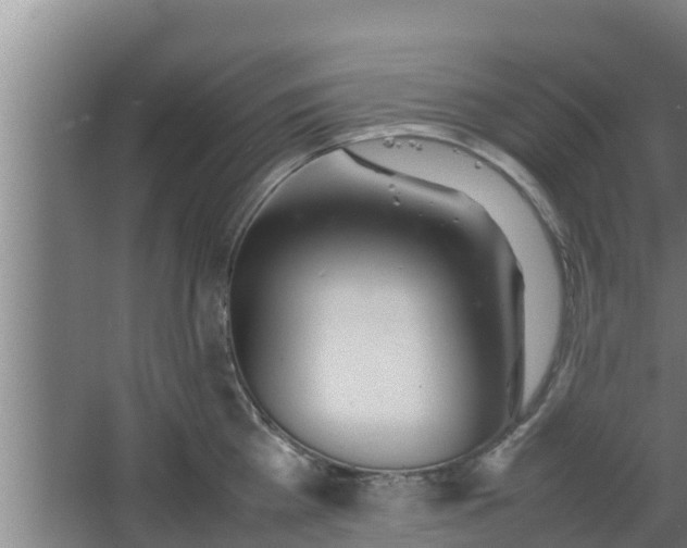 X0000064040809200602031556