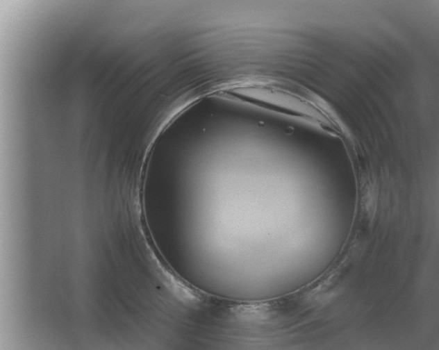 X0000064040810200602031556