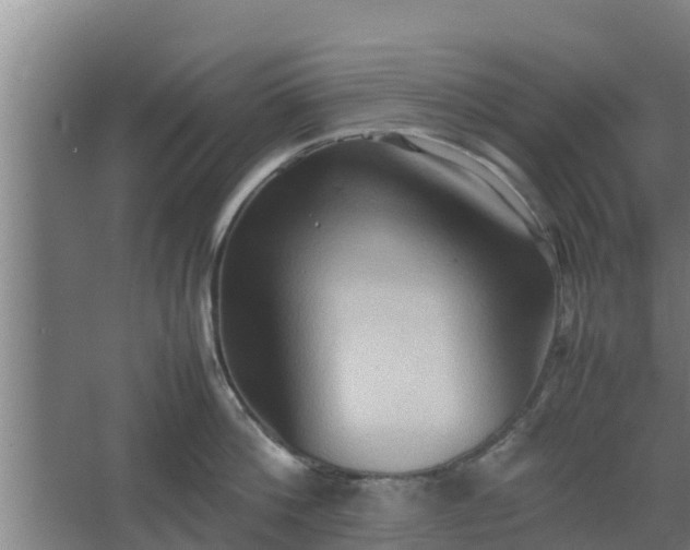 X0000064040812200602031556