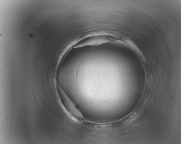 X0000064040813200602031556