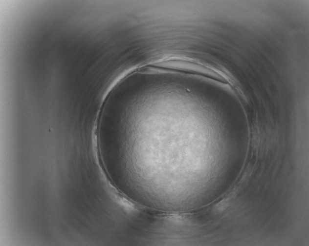 X0000064040814200602031556