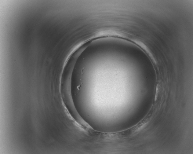 X0000064040815200602031556