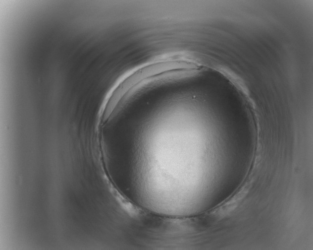 X0000064040816200602031556