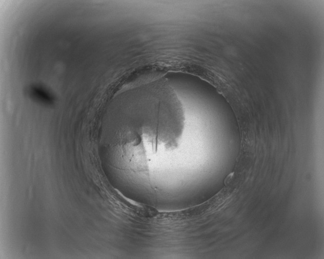 X0000064040817200602031555