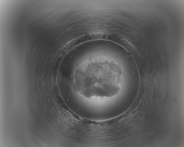 X0000064040821200602031555