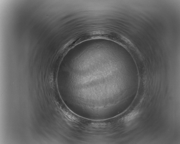 X0000064040825200602031555