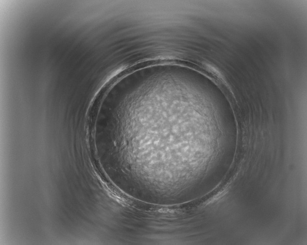 X0000064040827200602031555