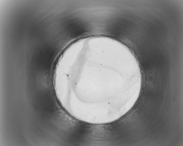 X0000064040828200602031555