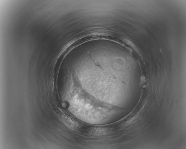 X0000064040829200602031555