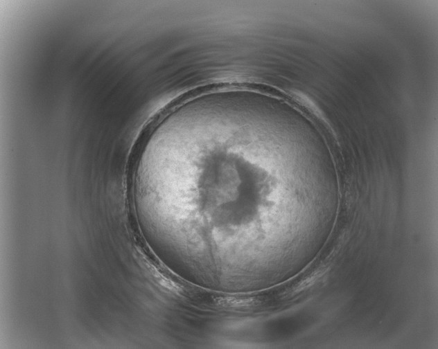 X0000064040831200602031555