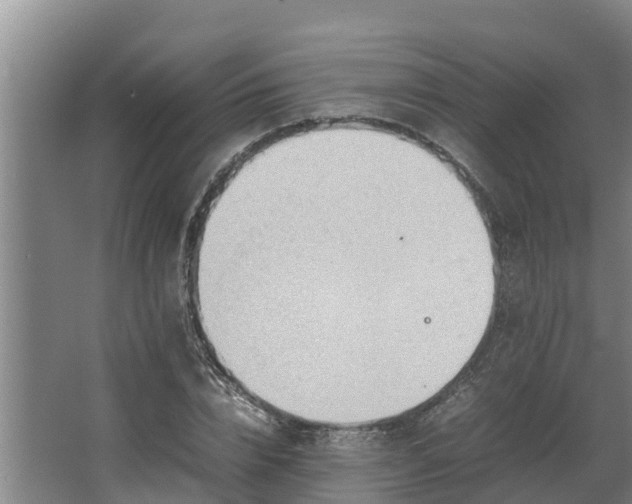 X0000064040832200602031555