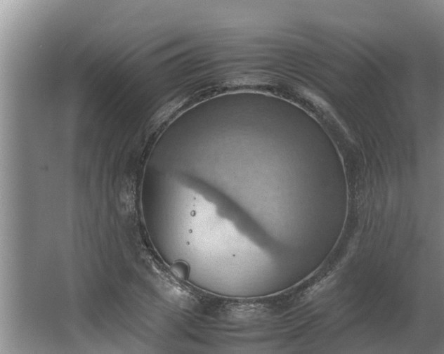 X0000064040833200602031555