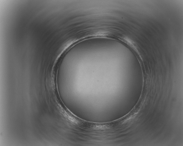 X0000064040835200602031555