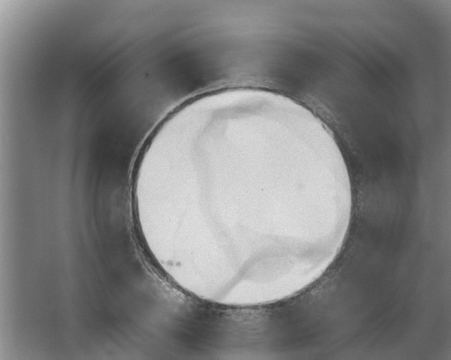 X0000064040836200602031555