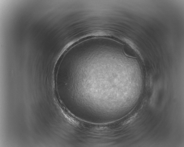 X0000064040837200602031555