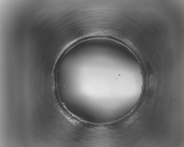 X0000064040838200602031555