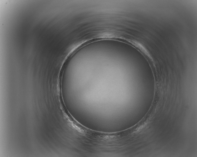 X0000064040839200602031555