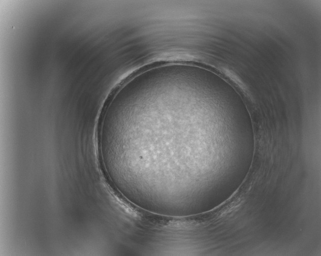 X0000064040840200602031555