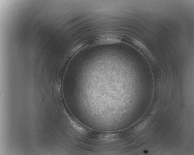 X0000064040841200602031555