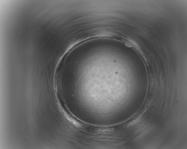 X0000064040843200602031555