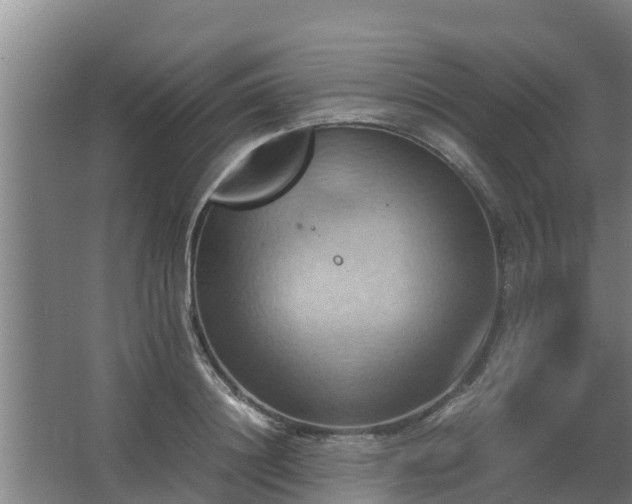 X0000064040844200602031555