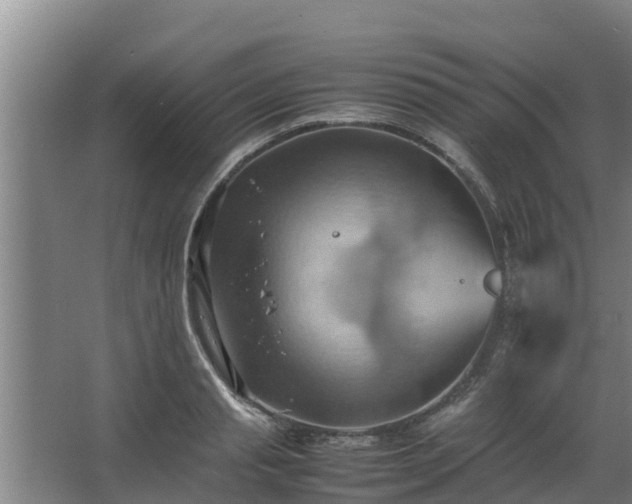 X0000064040845200602031555