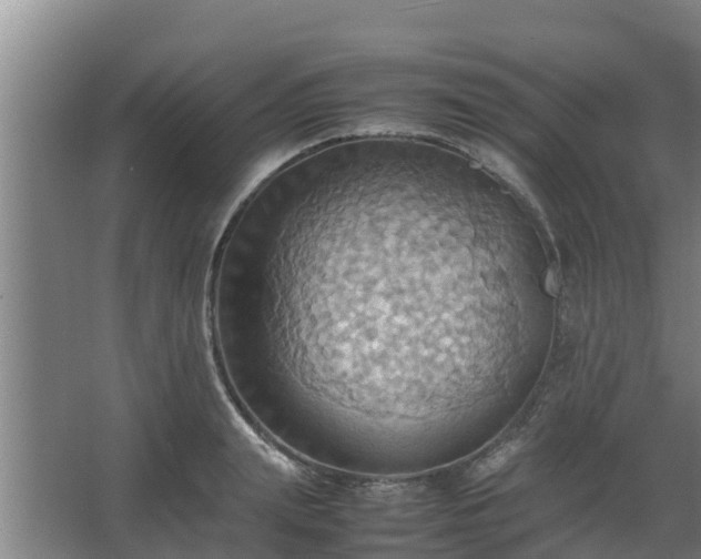 X0000064040847200602031555