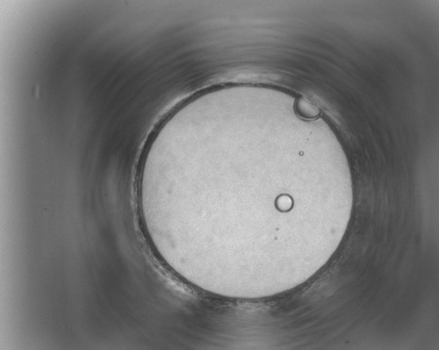 X0000064040848200602031555