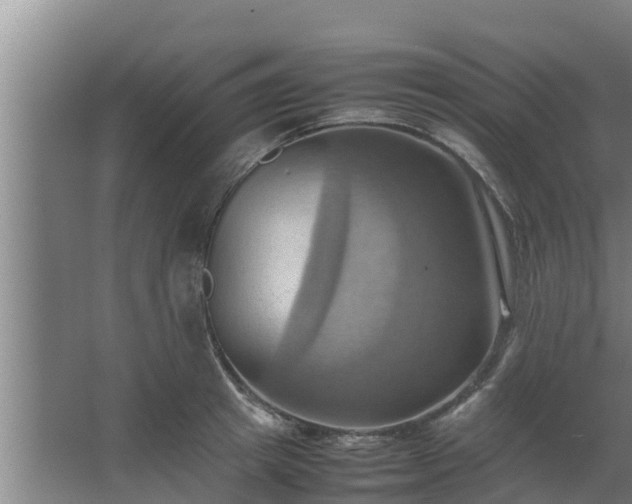 X0000064040849200602031555