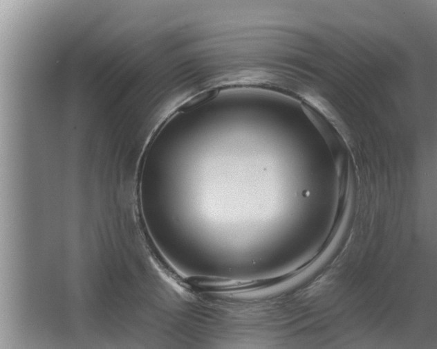 X0000064040850200602031555