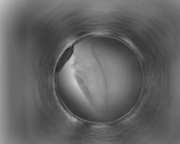 X0000064040853200602031555