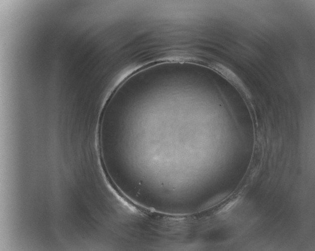 X0000064040855200602031556