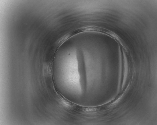 X0000064040857200602031556